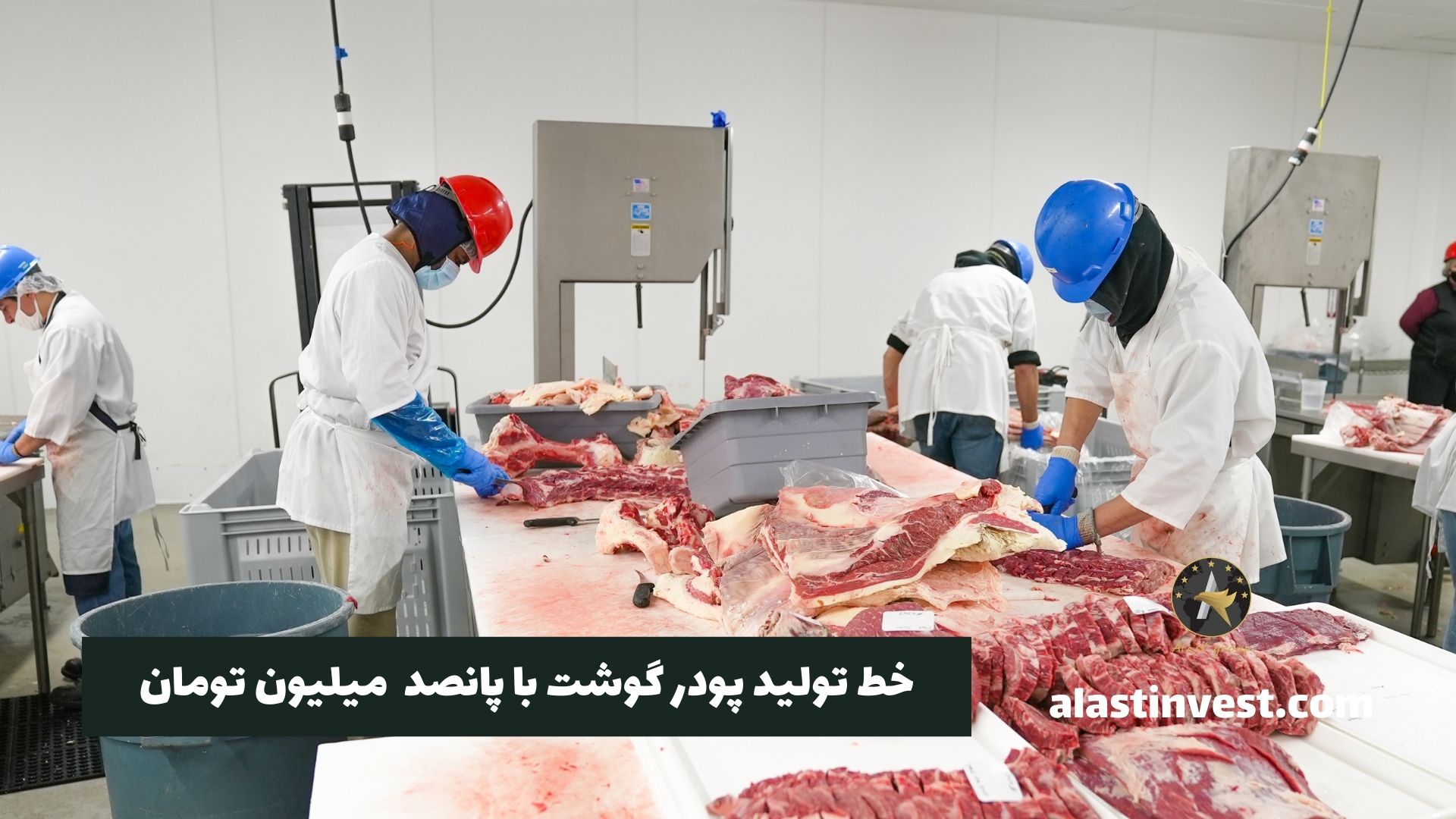 خط تولید پودر گوشت با پانصد میلیون تومان