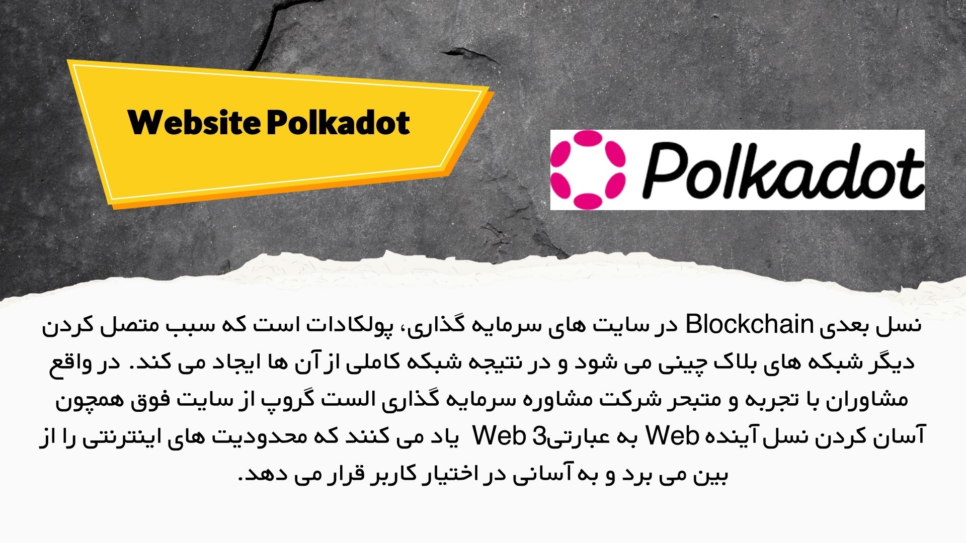 Website Polkadot